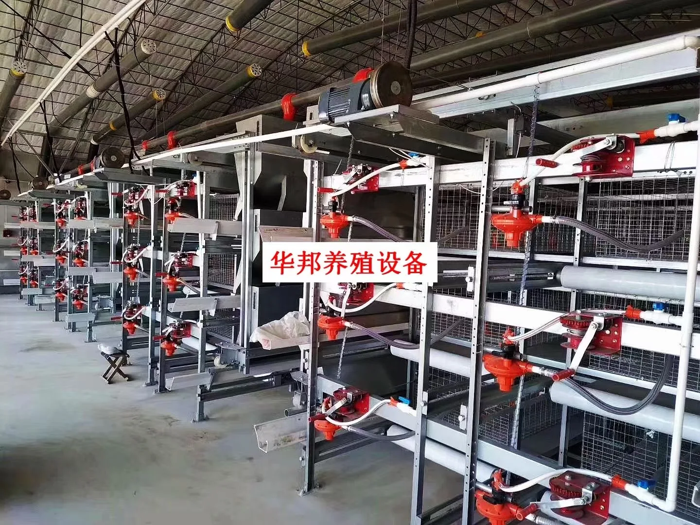 H-Type Poultry Cage System for Layer Chickens Automatic Farm Cage Battery Layer Frame Broiler Cages For The Chicken House
