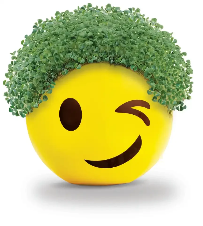 Custom Grow Chia Pet Winky Packet  Sprout Novelty Gift Decorative Ceramic Pot Chia Pottery Planter