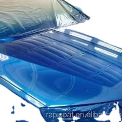 2K Clear Coat Rapicoat Automotive Paint High Solid High Gloss Strong Hardness Car Varnish