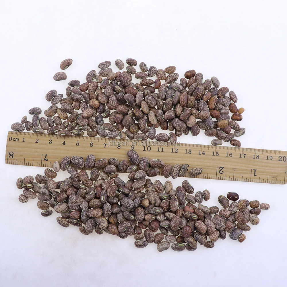 Сухой органический Non Gmo коровий горох бобы красный Горох Семена