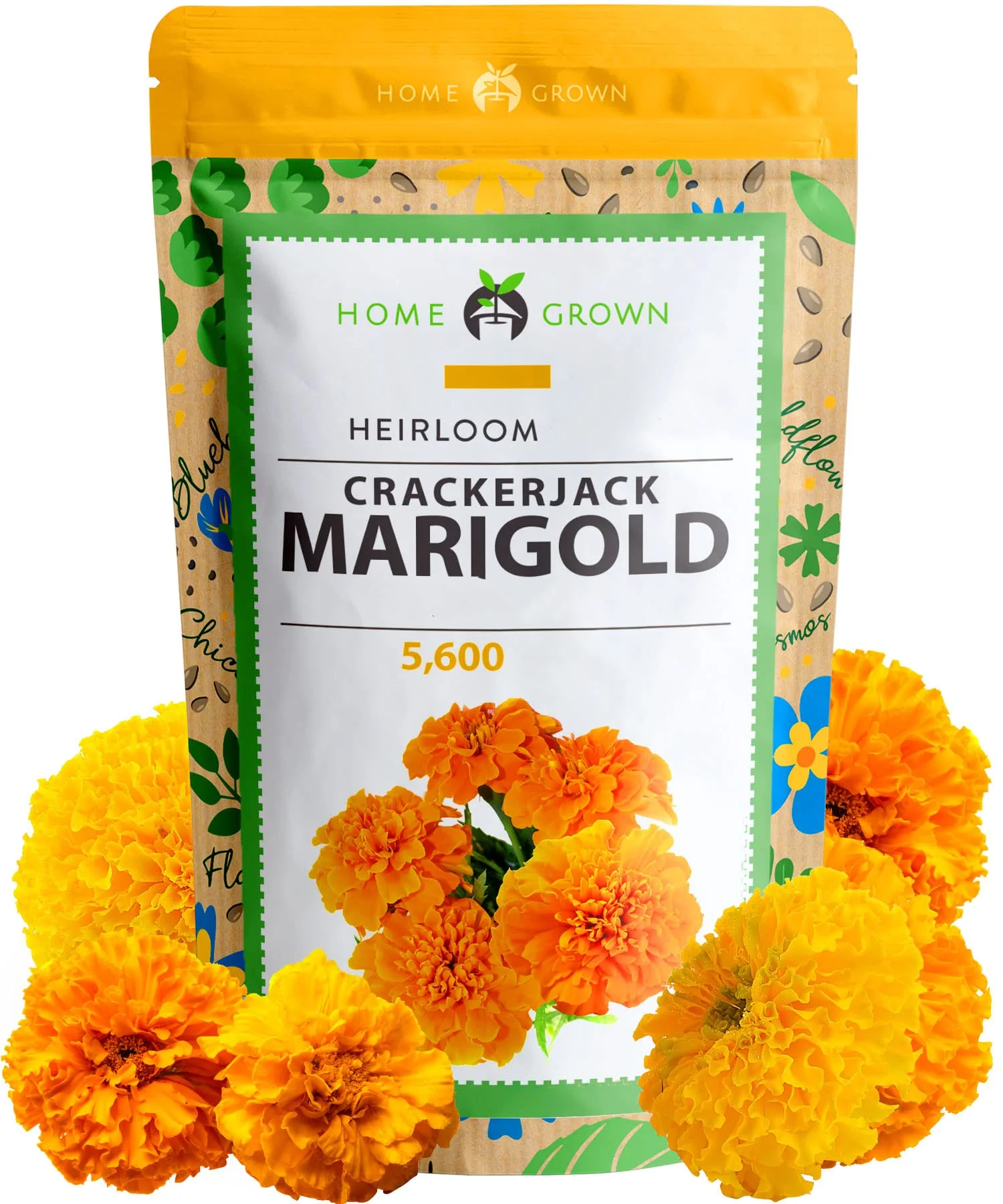 Superior Quality African Marigold Tagetes Erecta Quick-Growing Wildflower Companion Plant for Gardens Blooms Beautifully
