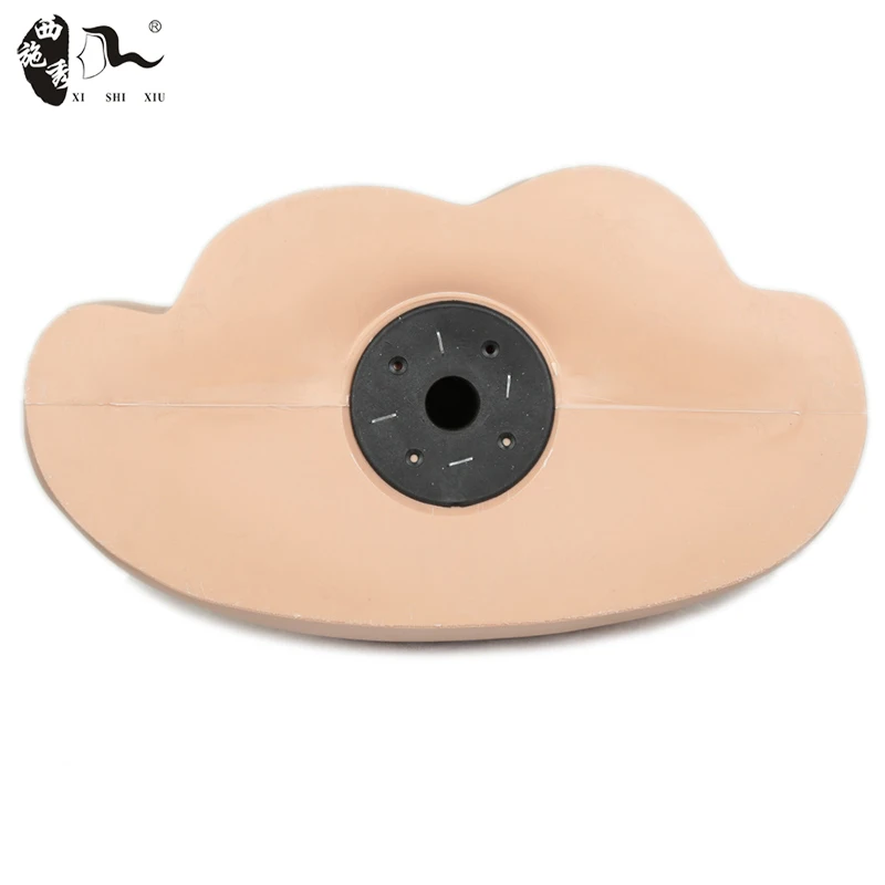 XISHIXIU HAIR Custom Logo African American Female Bust Half Body Realistic Mannequin Head with Shoulders for Wig Display