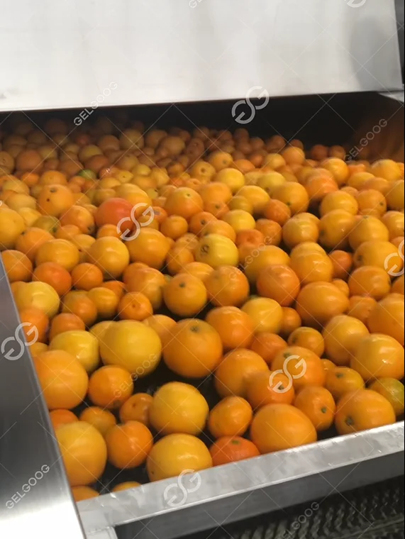 Машина для очистки фруктов и