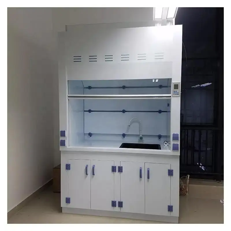 High Quality Laboratory Equipment Pp Compound Portable Chemical Fume Hood Laboratory