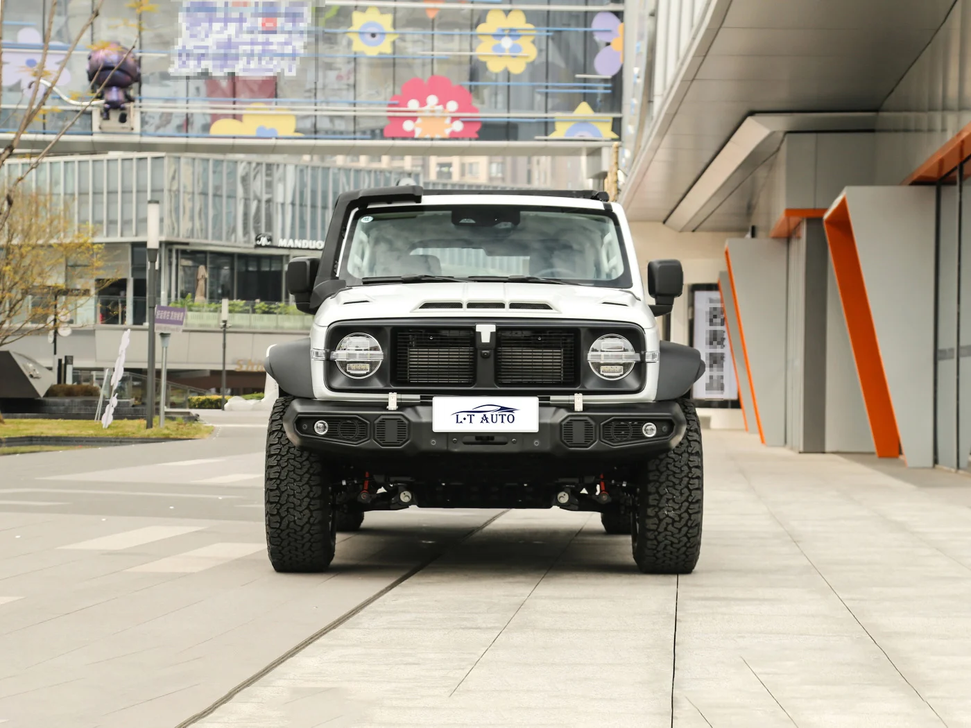 Самый продаваемый китайский производитель 300 GMW 4x4 2 0 t внедорожника бензинового топлива поставщик автомобилей