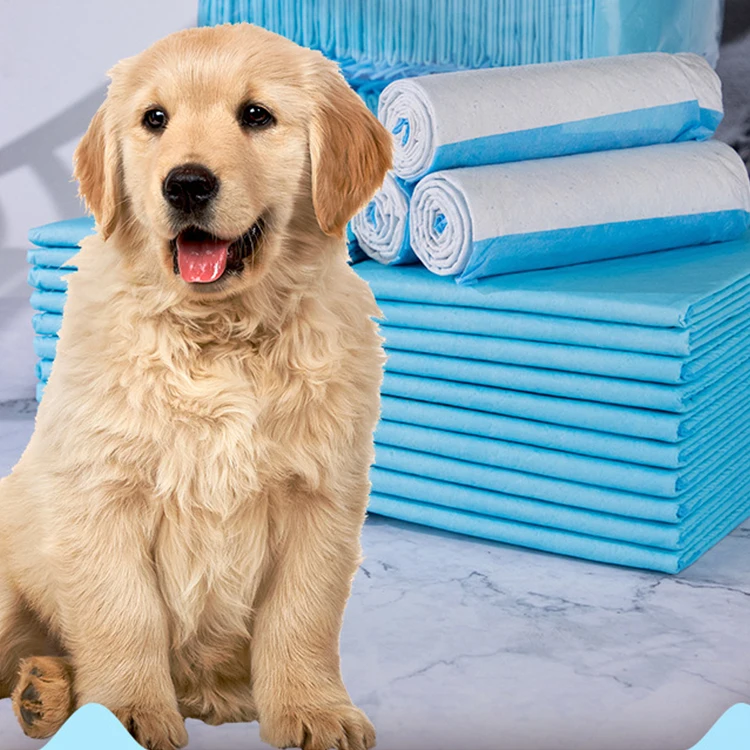 Wholesale custom hot selling products 2024 pee pad for dogs good absorption disposable pet training pad
