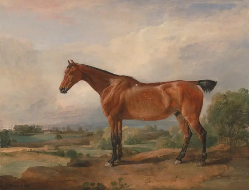 High quality Animal Horses Pattern Printed Canvas Pictures Artwork hand drawn oil painting