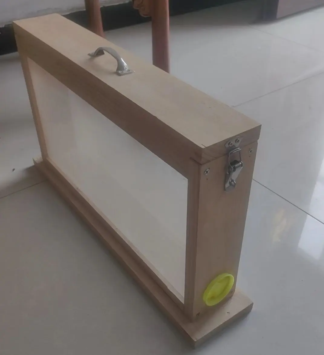 observation  hive (2).jpg