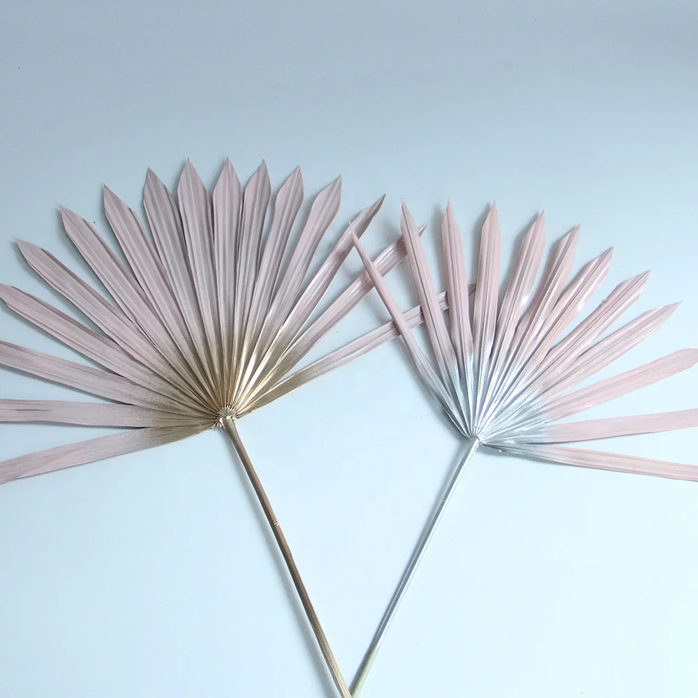 Primary Source Wholesale  Dried Flower Sun Plam Fan Leaves Sprayed color  Plant Material for Home Hotel Office Party Wedding Dec