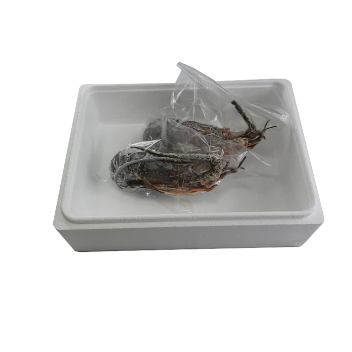 Safe and secure raw shrimps seafood spiny frozen  lobster meat