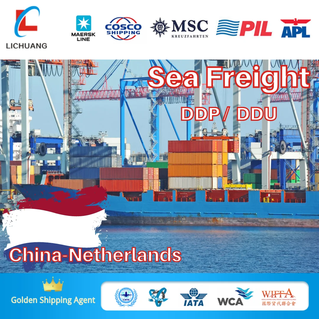 LCL Ocean Freight Agent Transport From China to Netherlands sea shipping DDU/DDP international logistics service