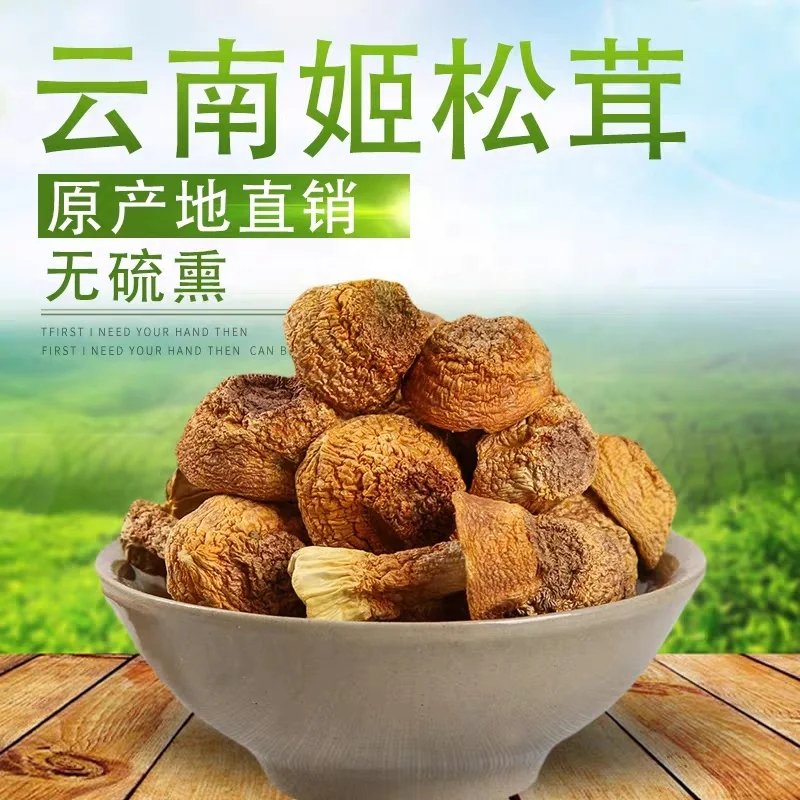 
Fresh Dried Agaricus Subrufescens Blazei Murill Mushroom 