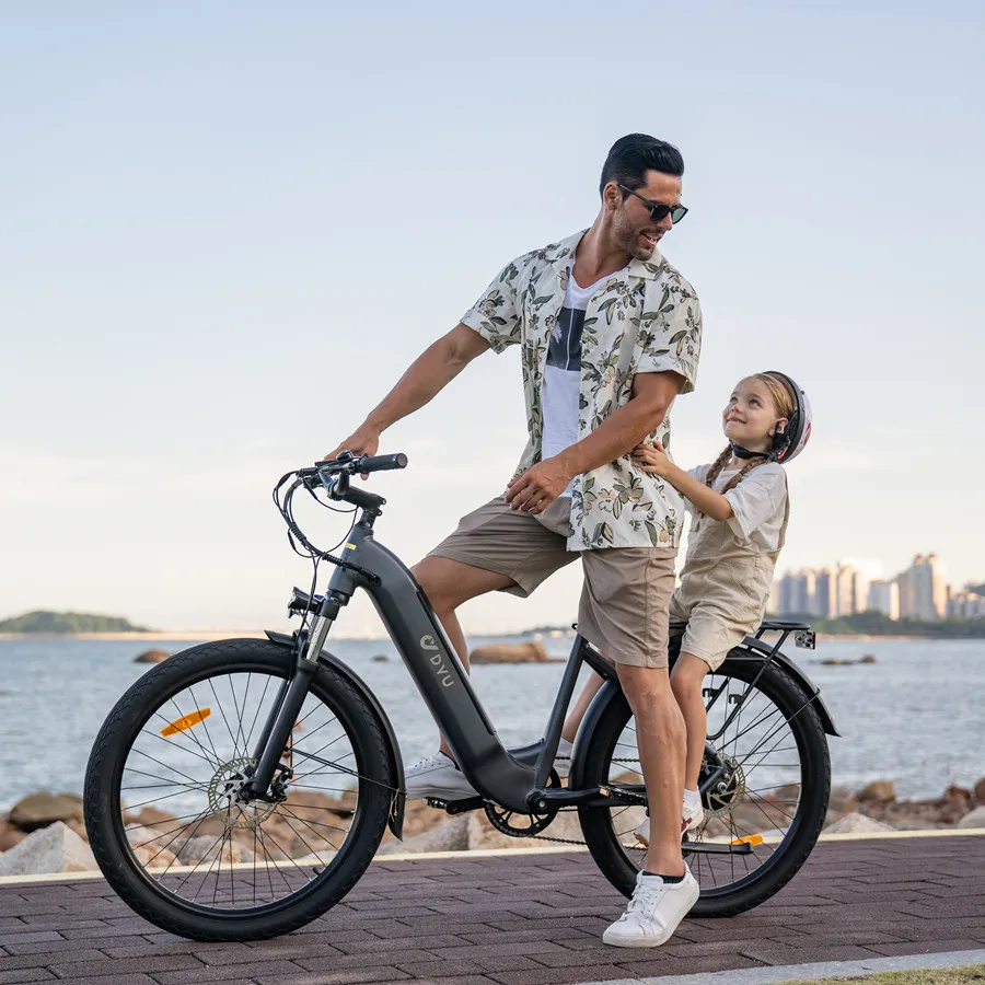 Bafang motor adult full suspension cargo electric bike hub motor electric trike e-bike electric mountain bike for hunting