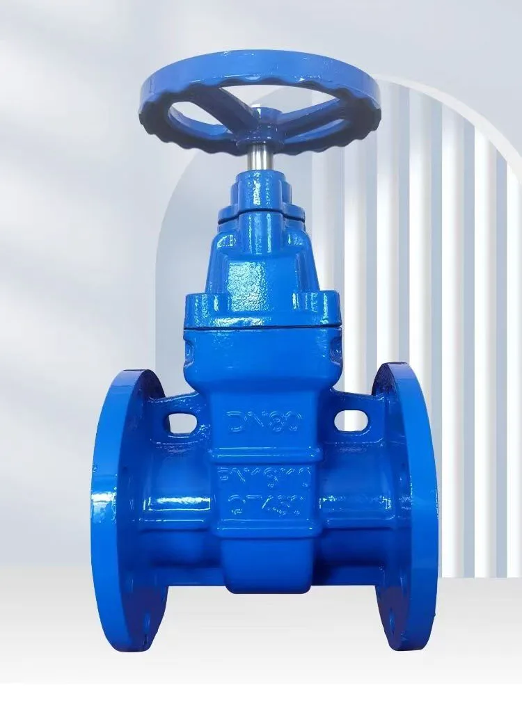 Z45T hard seal protection ductile iron flange gate valve Copper core gate valve national size thickened valve body