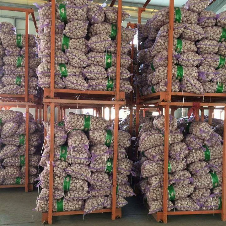 Fresh Garlic  Fresh Natural Garlic New crop Hot sales