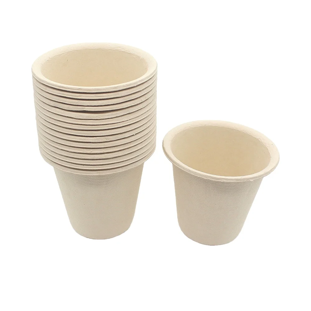 Factory Sale Various Disposable Paper Tea Cups Bamboo Fiber Disposable Tea Cup