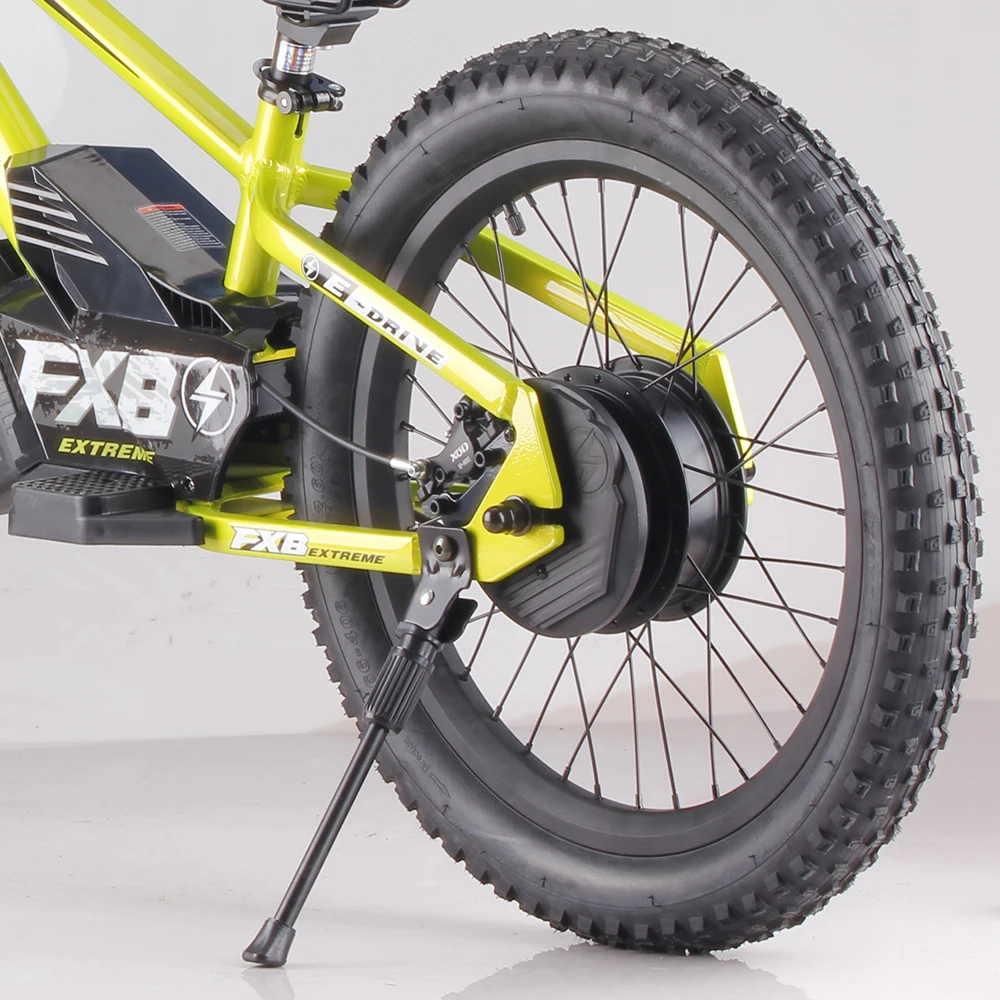 20inch Kids&Adult Electric Balance Bike 36V 800W Hub Motor Ebike 36V 10Ah Lithium Battery Electric Push bike