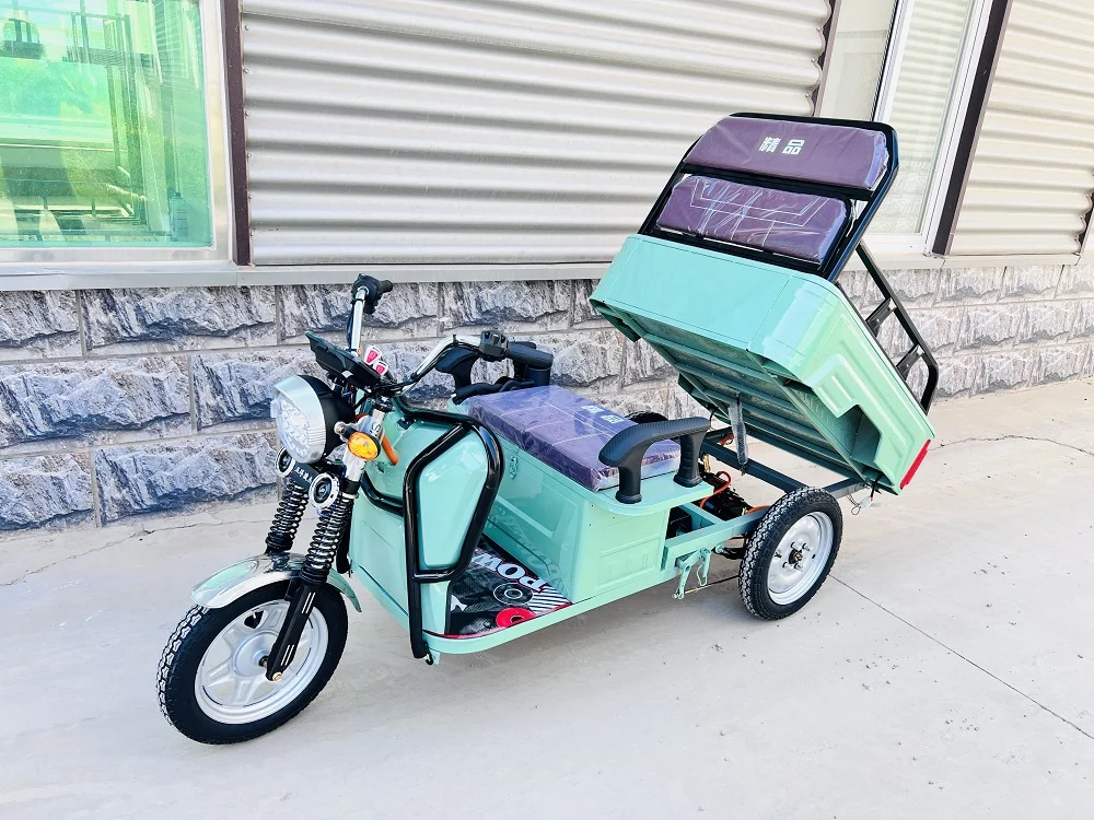 OEM 1000W/1500W грузовой Электрический трехколесный велосипед с заводской настраиваемой поддержкой от производителя