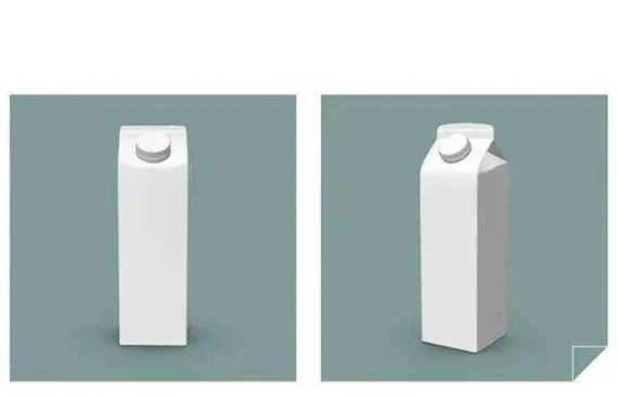 HOT sale juice milk plastic Gable top carton/box screw cap