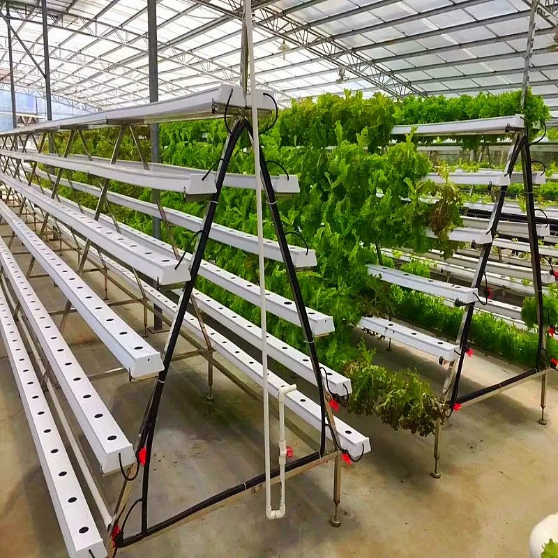 Nursery Greenhouse With Vertical Aeroponics System Piping Type hydroponic grow system NFT vertical farming hydroponics system