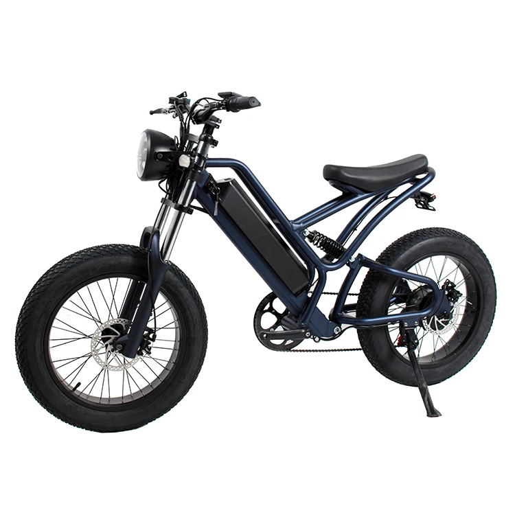 passenger 2 wheel electric fat tired cargo   .Front&Rear suspension  electric cargo bike ,factory electric ebike ,electric cycle