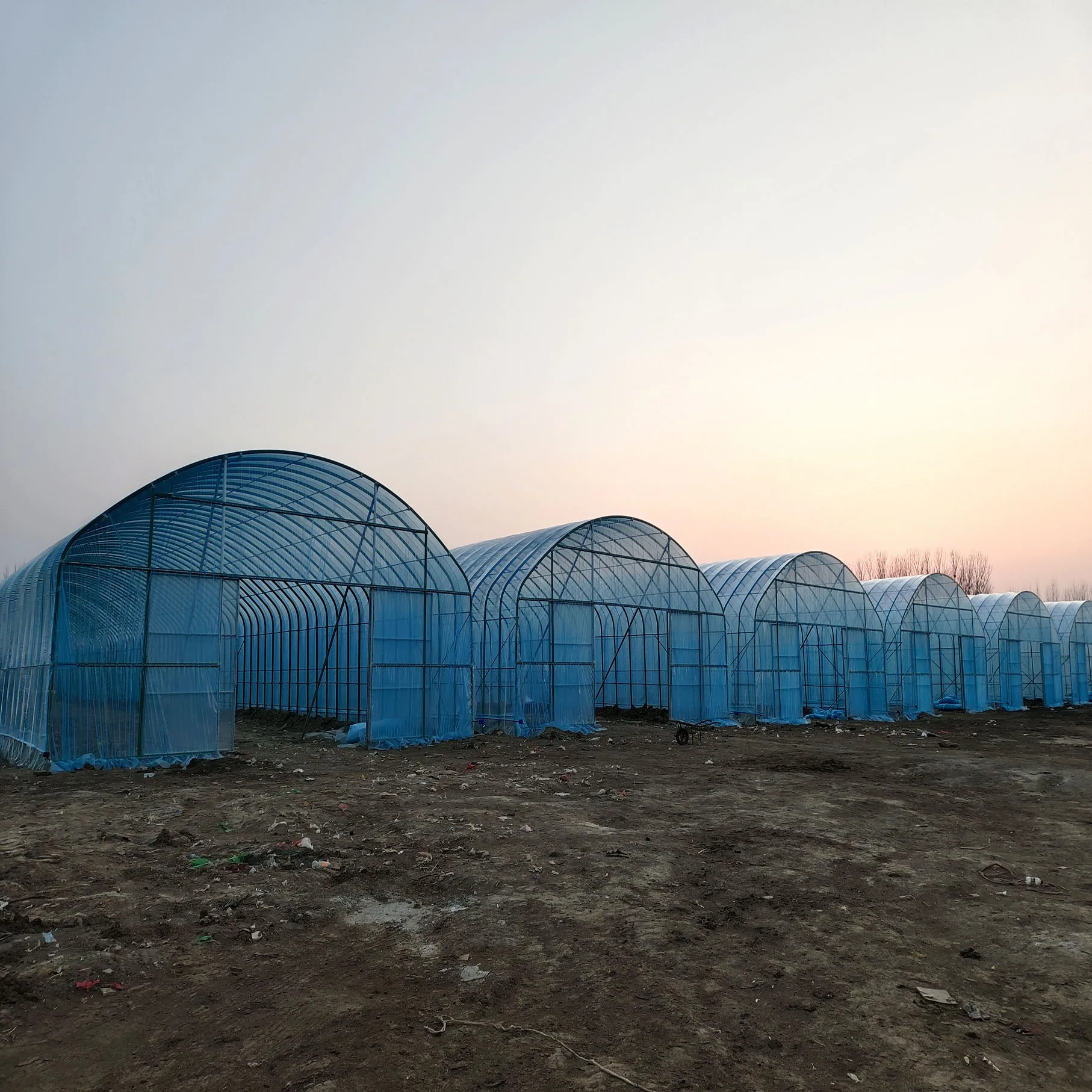 Vegetables growing hoop house single span agricultural greenhouse tunneling for hot sale