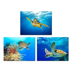 Popular Nordic Ocean Sea Scenery Marine Sea Turtle Seaweed Marine Painting Canvas Print Wall Art