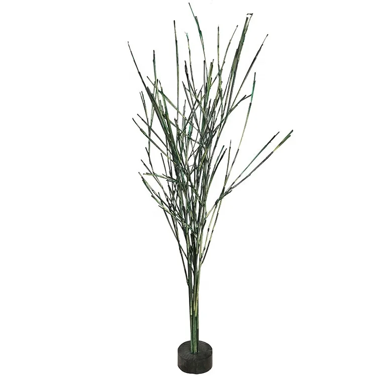 Eco Friendly Dark Green Phragmites Branch Dry Tree for Decoration