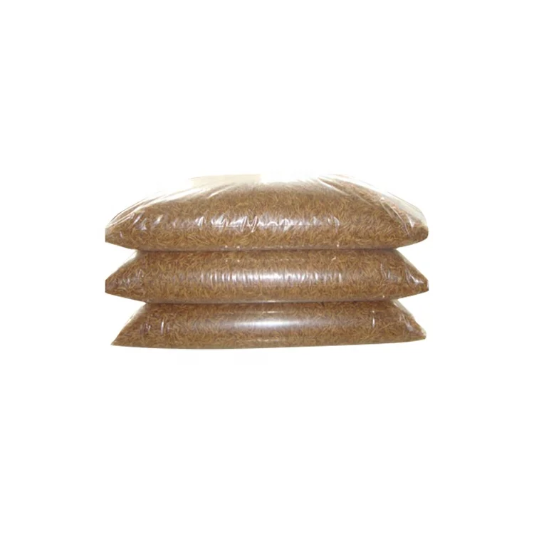 Xin jie biotechnology Dried bread worm hamster hedgehog food turtle snack fish yellow mealworm