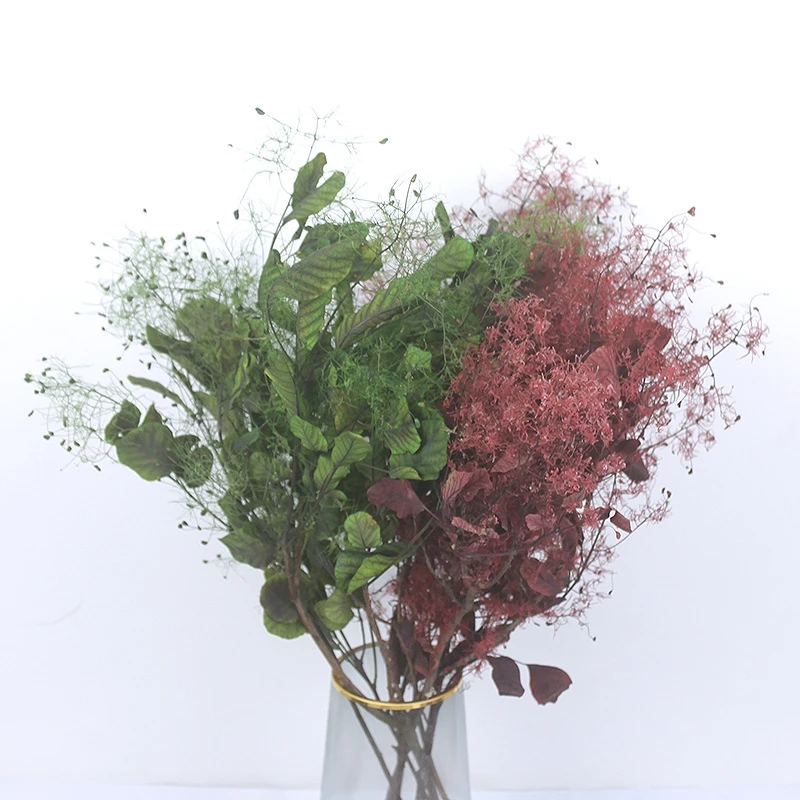 Высокое качество оптовая продажа сохраненные композиционные цветы SumFlora дымчатый куст (Cotinus coggygria)