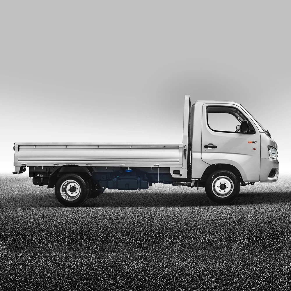 Diesel Delivery Cargo Light Duty 4x2 144Hp 2 Ton Foton Engine Truck