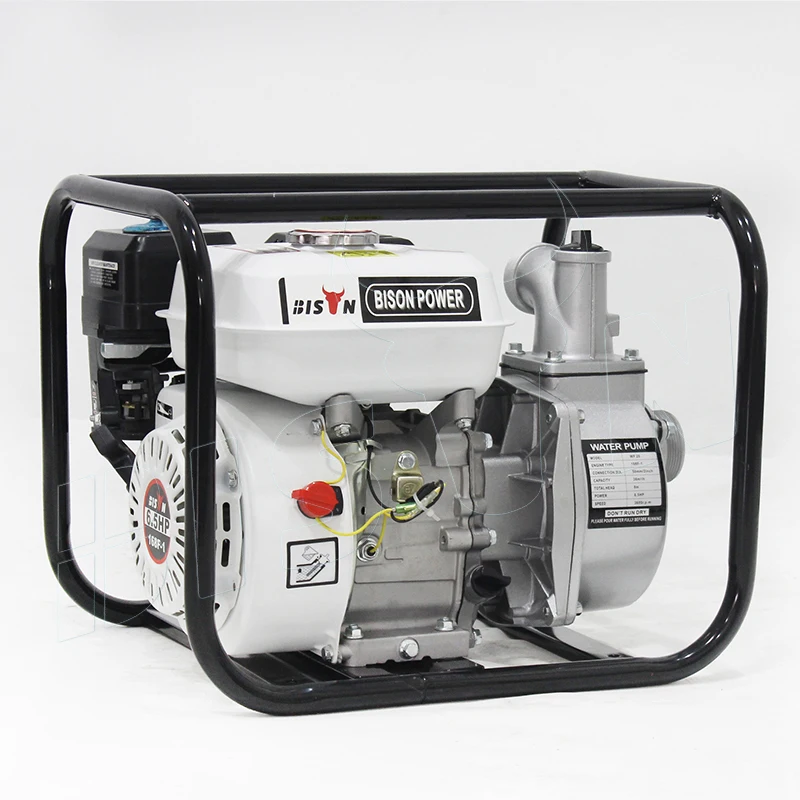 Bison China 2 Inch 1 Cylinder Gas Engine Trash Water Pump