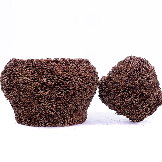 
indoor pinecone wood plant pot succlent pot cactus pot for home decoration 