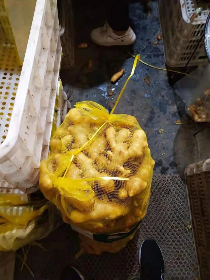 Sinofarm  2022 Wholesale organic fresh king of ginger price export from Shandong China