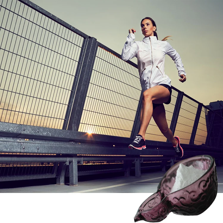 
lcarnitine for weight loss L-carnitine Fumarate 