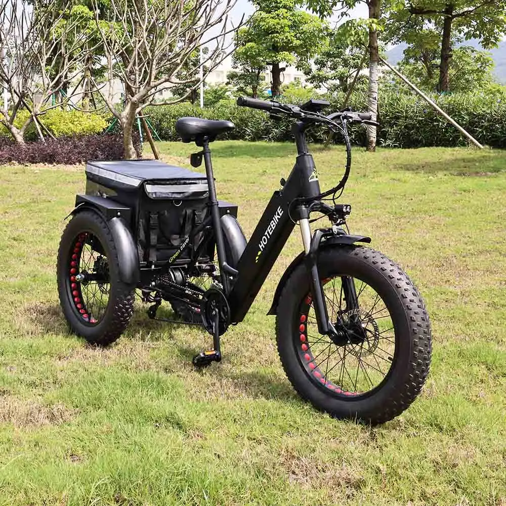 New Design 3 wheel electric bike ET250 cheap electric tricycle 20 inch 36V 250W motor electric bike with 3 wheels