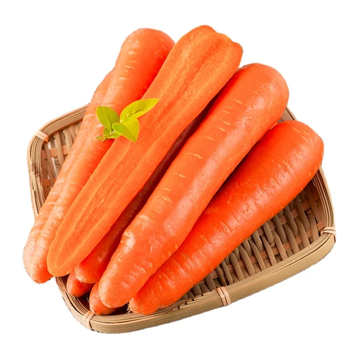 Premium fresh organic carrots