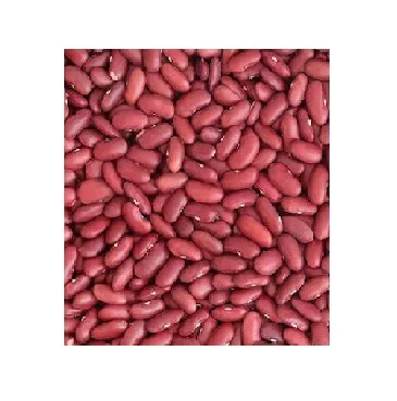 Wholesale High Quality Premium Red Kidney Beans Origin Product Salt Ingredients for Sale Quality Beans Supplier