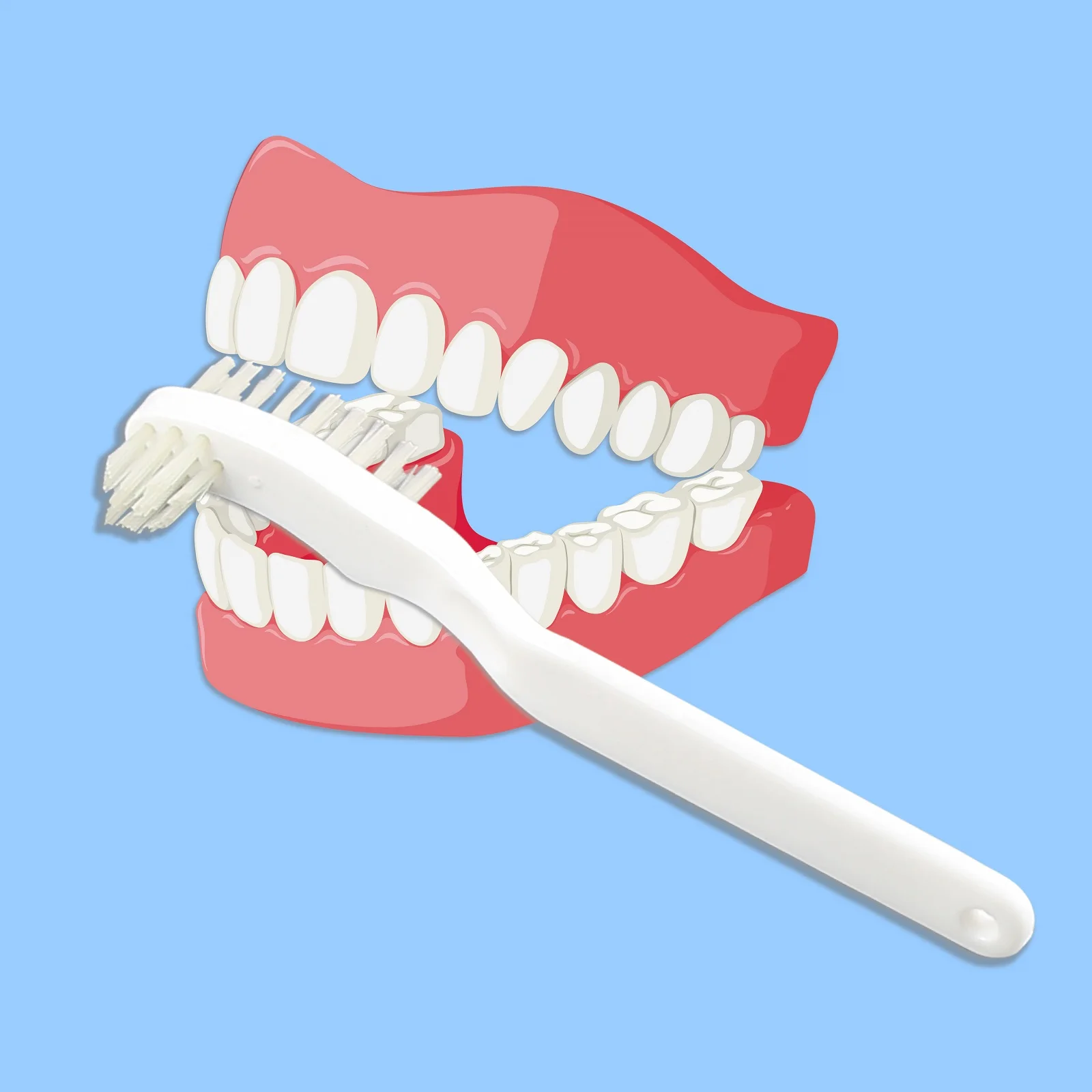 Small False Tooth Brush Denture Brush Hard Bristle 0.25mm or 0.30mm Nylon 610 Removes Surface Stains Color OEM