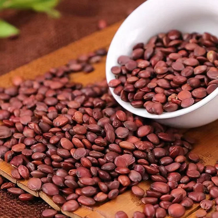 suan zao ren ziziphi seeds dried spina date seed natural organic seed of wild jujube