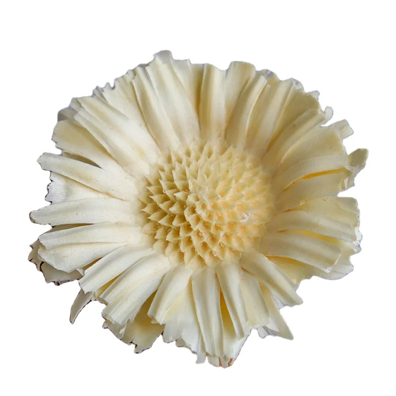 Amazon Hot Selling Dried Flowers Africa Sun Flower Factory Wholesale Dried Flower