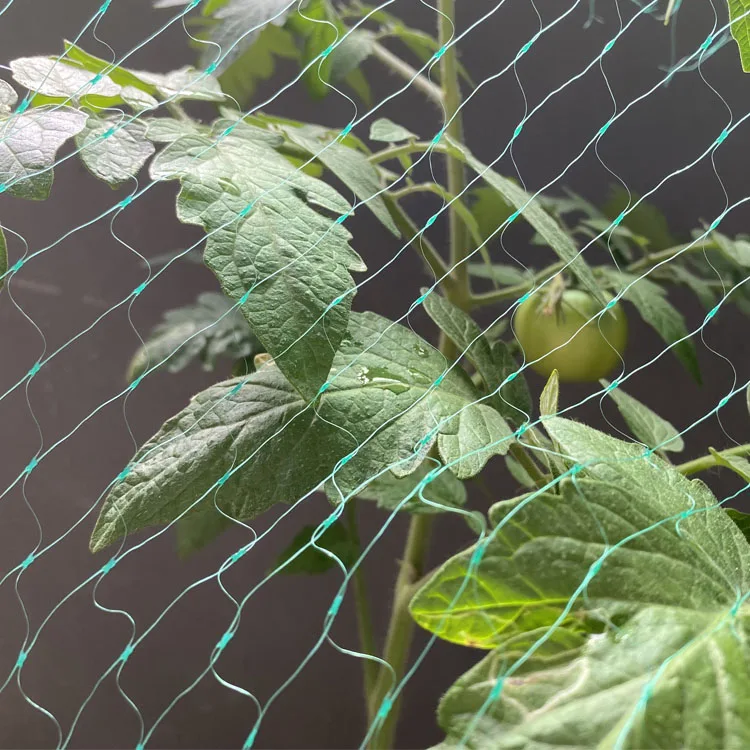 Anti-Bird  Plastic Trellis Net Garden Netting Plant Protecting Net for Protecting Vegetables Plants and Fruit Trees