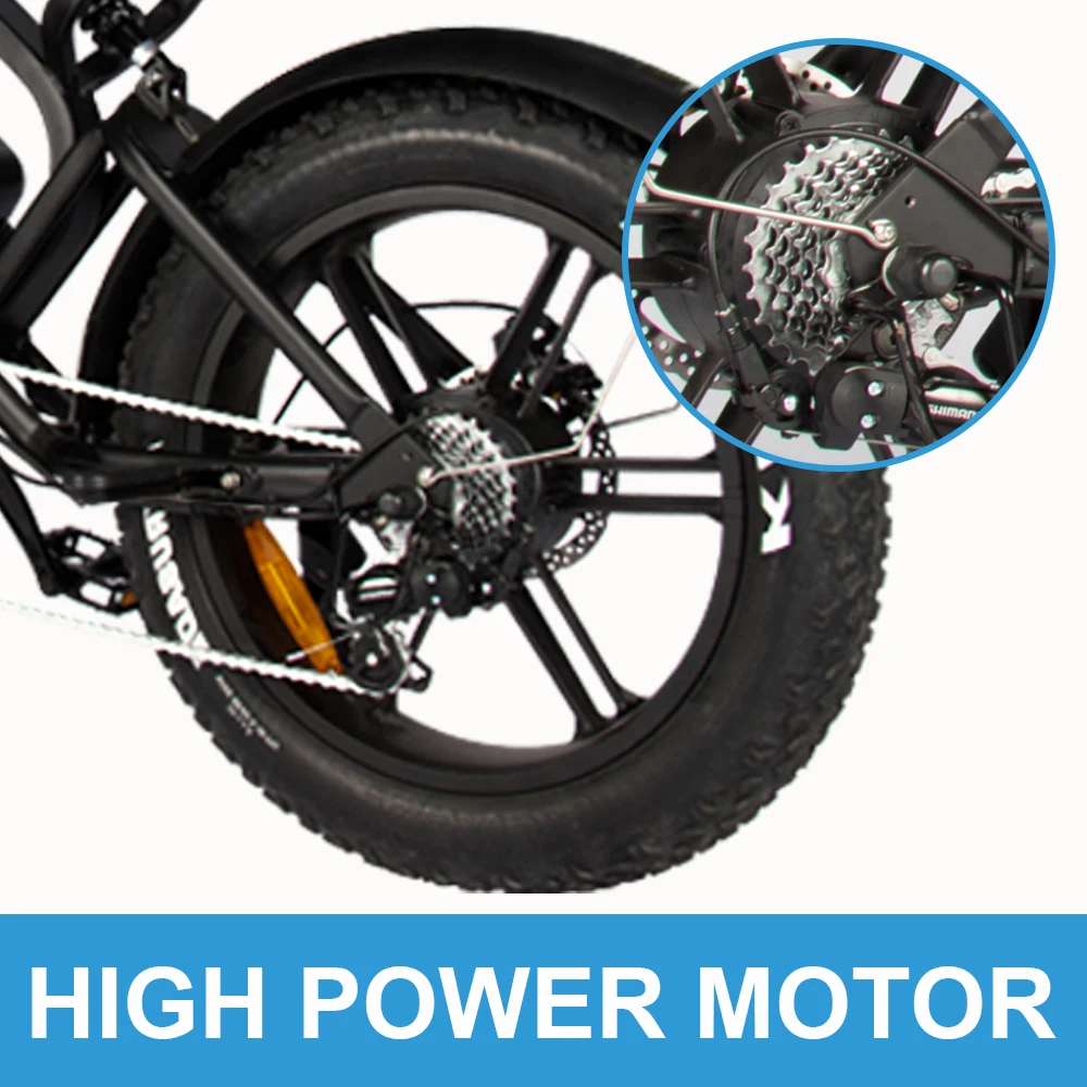 Netherlands Poland Electric Walking Bike Disc Brake Bicycle Bikes 48V 20inch Electric Bike Big Tire