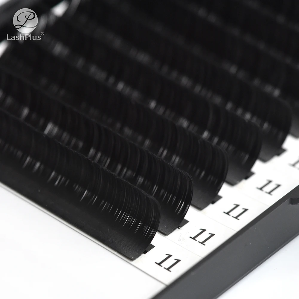 LashPlus wholesale price high quality lash vendor private label lash individual eyelash extensions