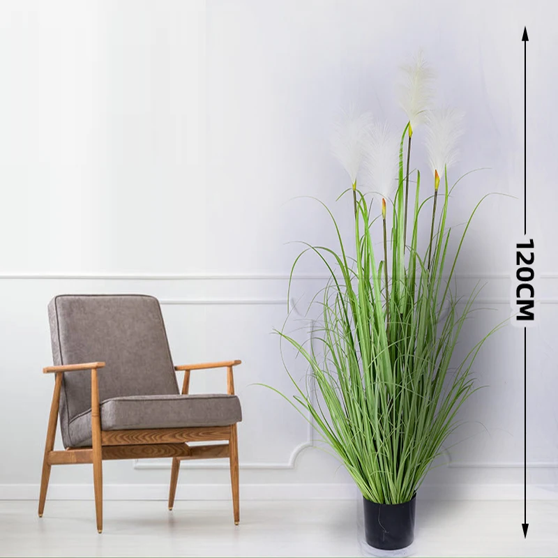 Indoor decoration of plants of different style and  height