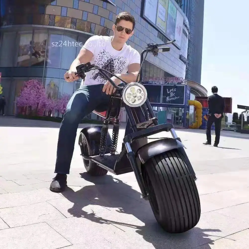 
Wide tire electric bicycle 