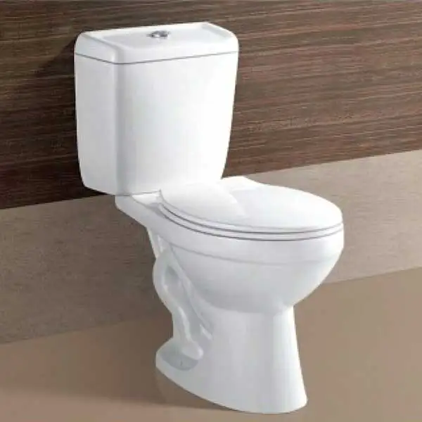 Hot design bathroom two piece toilet with built-in bidet product