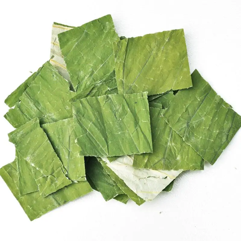 China slimming lotus leaves tea factory supply Loose Weight dried Lotus Leaf Tea