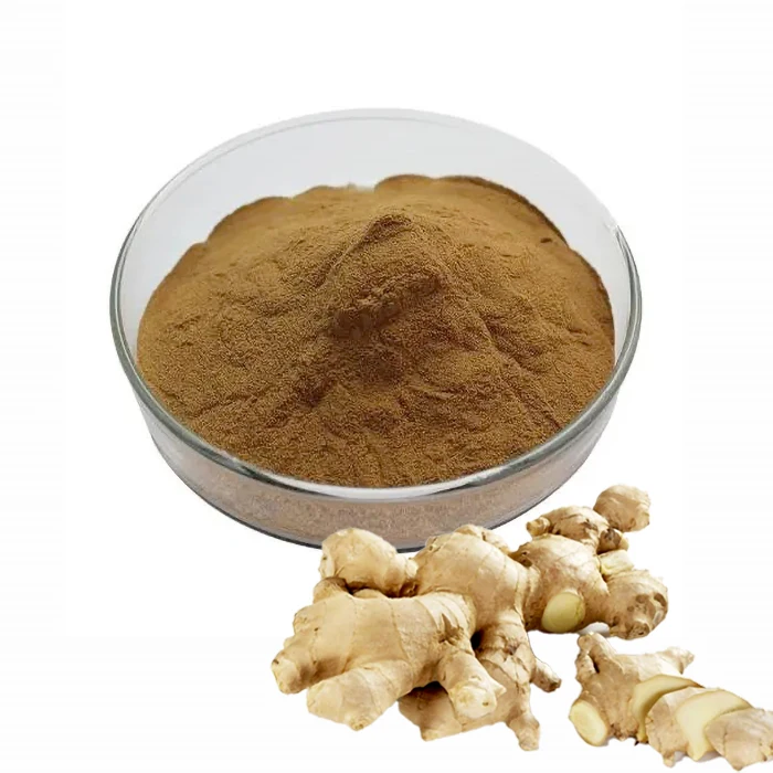 
30:1 water-soluble extract gingerol 1kg minimum order spot ginger extract powder 