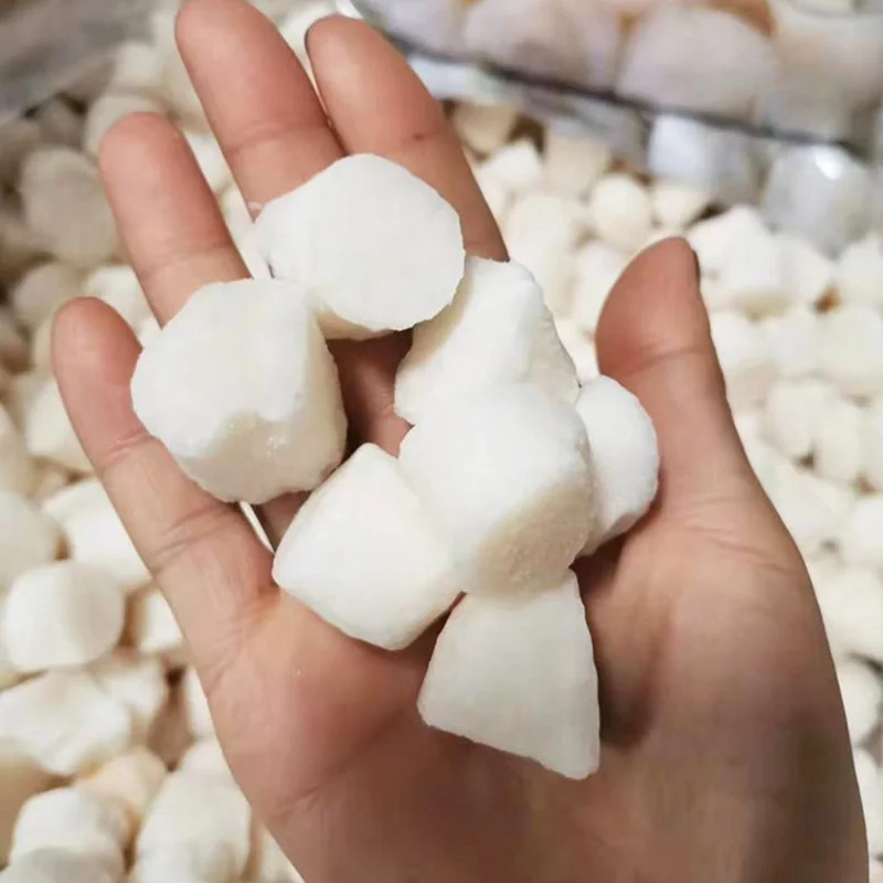 Оптовая продажа прямые поставки с завода вкусные кошки морепродукты сухие закуски сушеные гребешки для кошек собак корм
